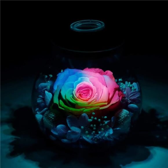 Preserved Real Roses with Colorful Mood Light Wishing Bottle,Eternal Rose - Picture 2 of 6